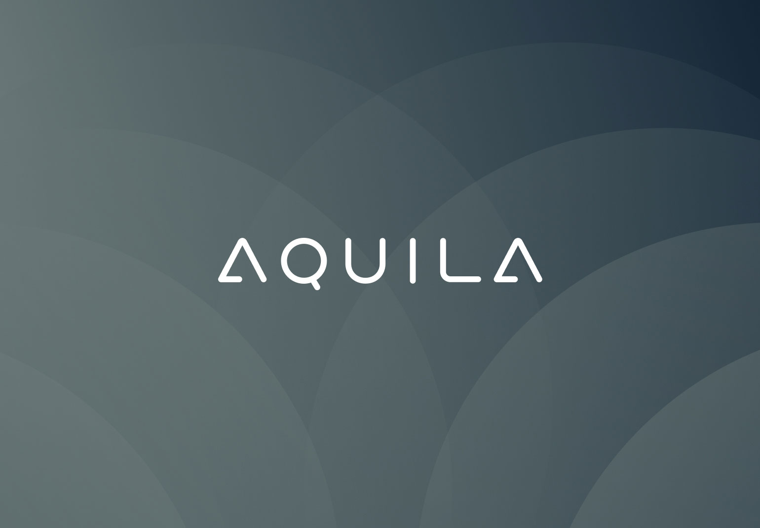 Aquila蔚来超感系统